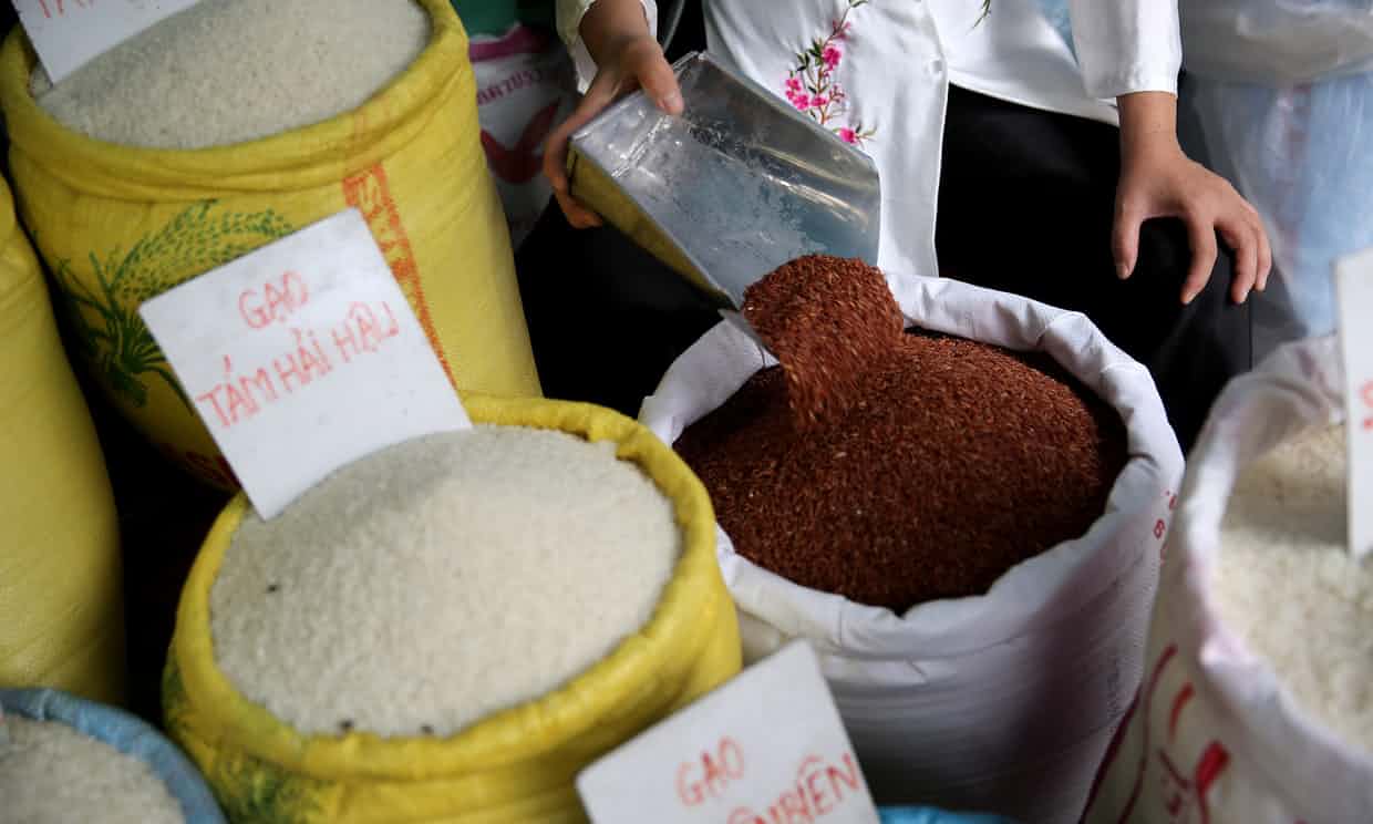 Rice - Luong Thai - EPA